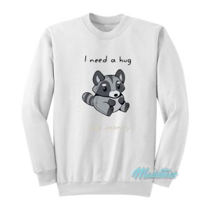 Racoon I Need A Hug And Money Sweatshirt