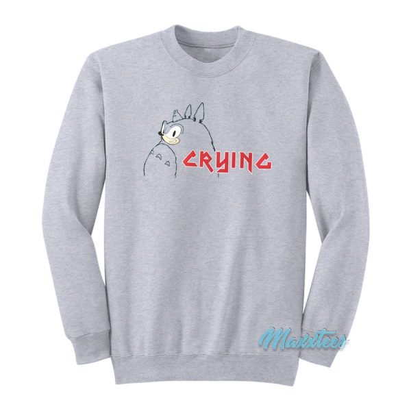 Sonic Crying Totoro Sweatshirt