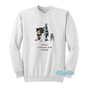 Sonic Shadow Aqua And Chucky Sorry I Am Guy Sweatshirt