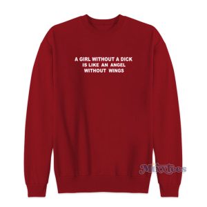 A Girl Without A Dick Is Like And Angel Without Wings Sweatshirt 1