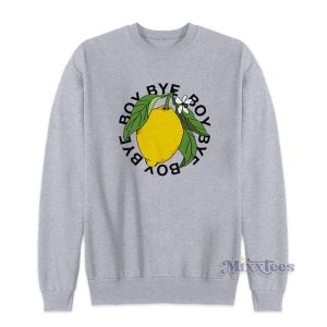 Beyonce Lemonade Boy Bye Sweatshirt 1