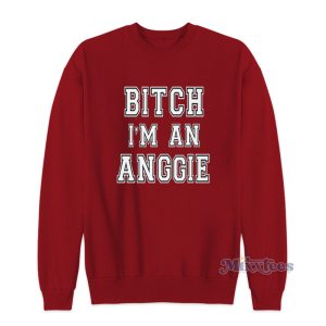 Bitch Im A Anggie Sweatshirt For Unisex 1