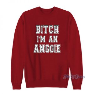 Bitch Im A Anggie Sweatshirt For Unisex 2