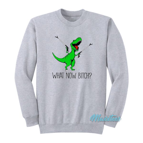 T-Rex Dinosaur What Now Bitch Sweatshirt