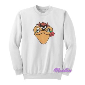 Taz Mania Devil Looney Tunes Sweatshirt