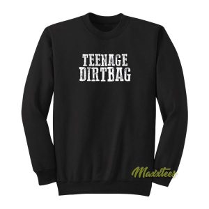 Teenage Dirtbag Unisex Sweatshirt 2