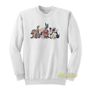 Vintage 1993 Warner Bros Sweatshirt