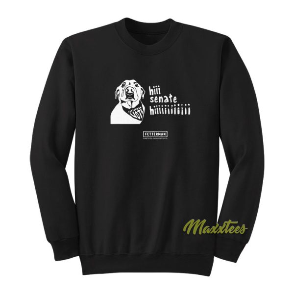 Vote Fetterman Hi Senate Hi Sweatshirt