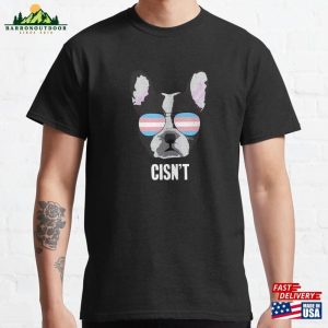 Cisn’t Funny Boston Terrier Dog Trans Pride Flag Classic T-Shirt Sweatshirt