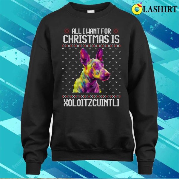 All I Want For Christmas Is Xoloitzcuintli, Christmas Gift For Dog Lover T-shirt