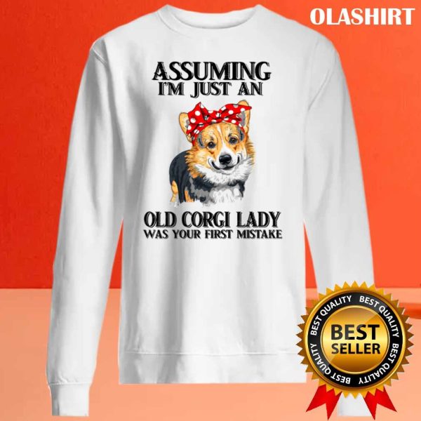 Corgi Dog Assuming Im Just An Old Corgi Lady Was Your Fist Mistake T-shirt