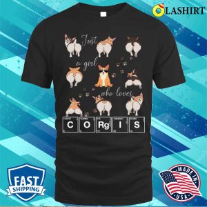 Corgi T-shirt, Just A Girl Who Loves Corgis Welsh Corgi Dog Lover Science T-shirt