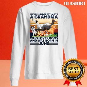 Dog Never Underestimate A Grandma Who Loves Books And Was Born In June Shirt 2