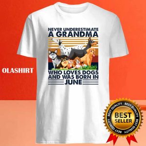 Dog Never Underestimate A Grandma Who Loves Books And Was Born In June Shirt 4