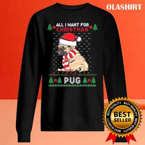 Funny Dog Lovers Cute Pug Santa Hat Ugly Christmaser Fun T shirt 2