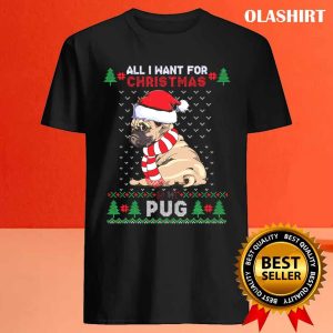 Funny Dog Lovers Cute Pug Santa Hat Ugly Christmaser Fun T shirt 4