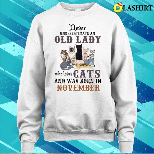 Never Underestimate An Old Lady Loves Dogs Born In November Shirt