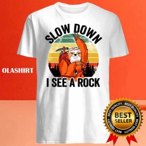 Slow Down I See a Rock Vintage Sunset Sloth Shirt Chasing Tranquility 4