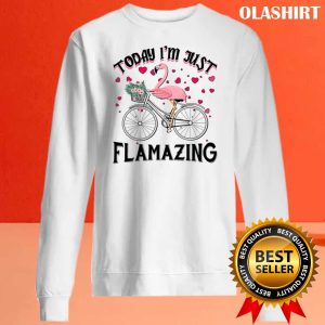 Today Im Just Flamazing Flamingo Cycling Shirt 2