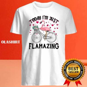 Today Im Just Flamazing Flamingo Cycling Shirt 4