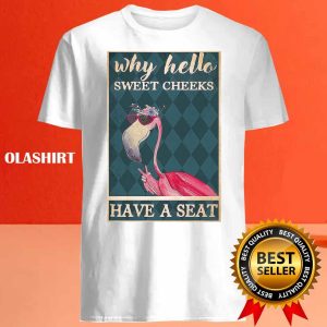 Why Hello Sweet Cheeks Have A Seat Flamingo Shirt 4