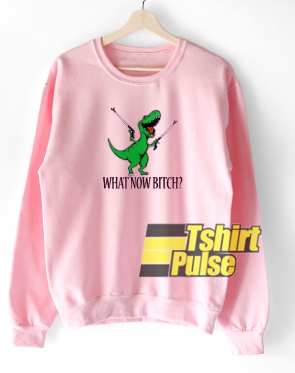 Dinosaurus Unicorn sweatshirt