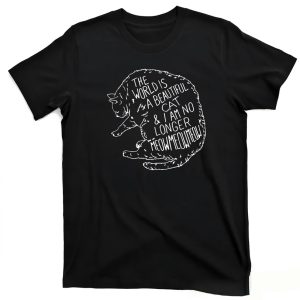 The World Is A Beautiful Cat I Am No Longer Meow Meow Shirt