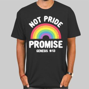 Not Pride Promise Lgbt Shirt Cheap