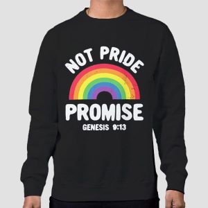 Not Pride Promise Lgbt Shirt Cheap