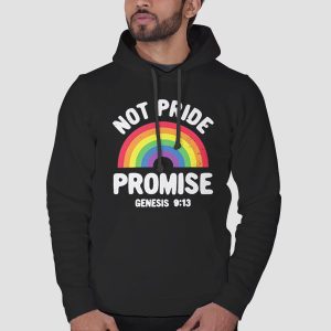 Not Pride Promise Lgbt Shirt Cheap 3