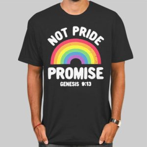 Not Pride Promise Lgbt Shirt Cheap 4