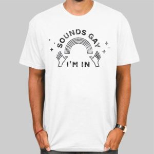 Pride LGBT Sounds Gay Im in Meme Shirt Cheap 4