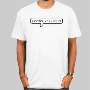 Sounds Gay Im in Shirt Cheap 4