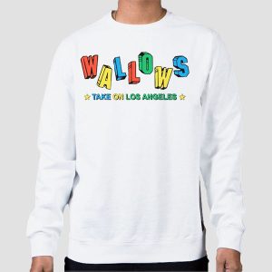 Take on Los Angeles Wallows Shirt Cheap