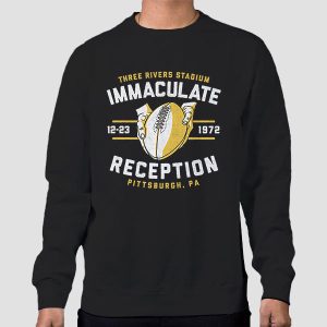 Three Rivers Stadium Immaculate Reception T Shirt Cheap