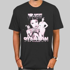 Vintage Megan Thee Stallion Shirt Cheap