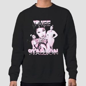 Vintage Megan Thee Stallion Shirt Cheap