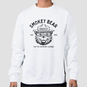 Vintage Smokey the Bear T Shirt Cheap