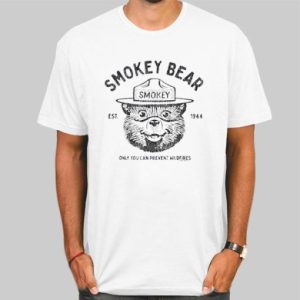 Vintage Smokey the Bear T Shirt Cheap 4