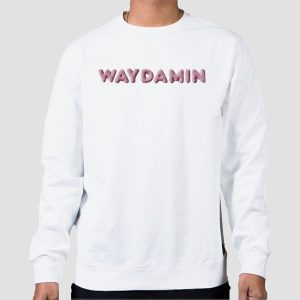 Waydamin Merch Store Way Damin Shirt Cheap