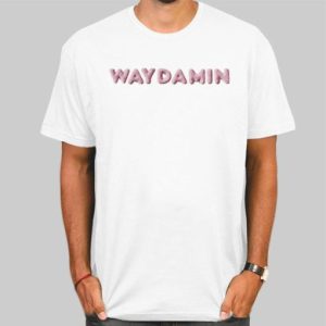 Waydamin Merch Store Way Damin Shirt Cheap 4