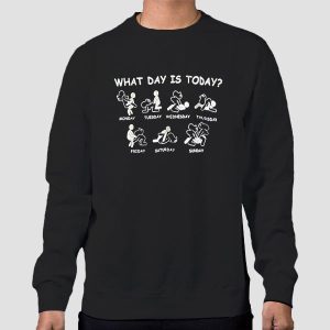 What Day Is Today Porno Star Shirt Cheap