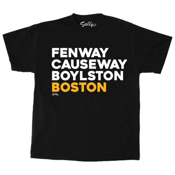 Fenway Causeway Boylston Boston – Hockey – T-Shirt