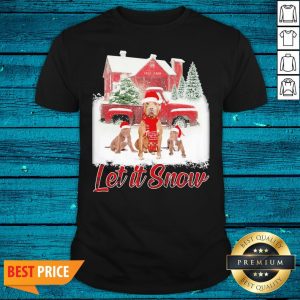 Important Pitbull Let It Snow Christmas Shirt