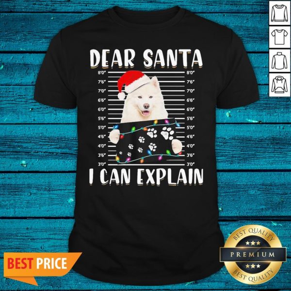 Perfect Dear Santa I Can Explain Light Christmas Shirt