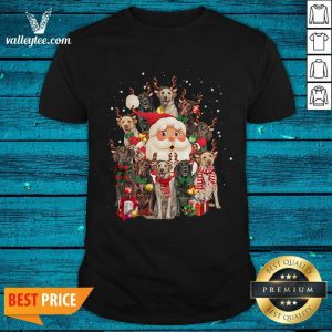 Pretty Merry Christmas Santa Claus Labrador Retriever Dogs Shirt