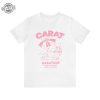 Seventeen Nana Tour Shirt Pink Nanatour With Seventeen Shirt Cute Seventeen Members Shirt Seventeenth Heaven Shirt Gifts For Carat Unique