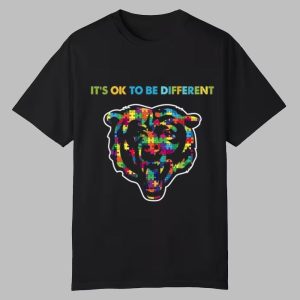 2025 Bears It’s Ok To Be Different Shirt