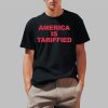 Lizzo America Is Tariffied Shirt