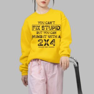 You Cant Fix Stupid But You Can Numb It With A 2X4 Shirt 4